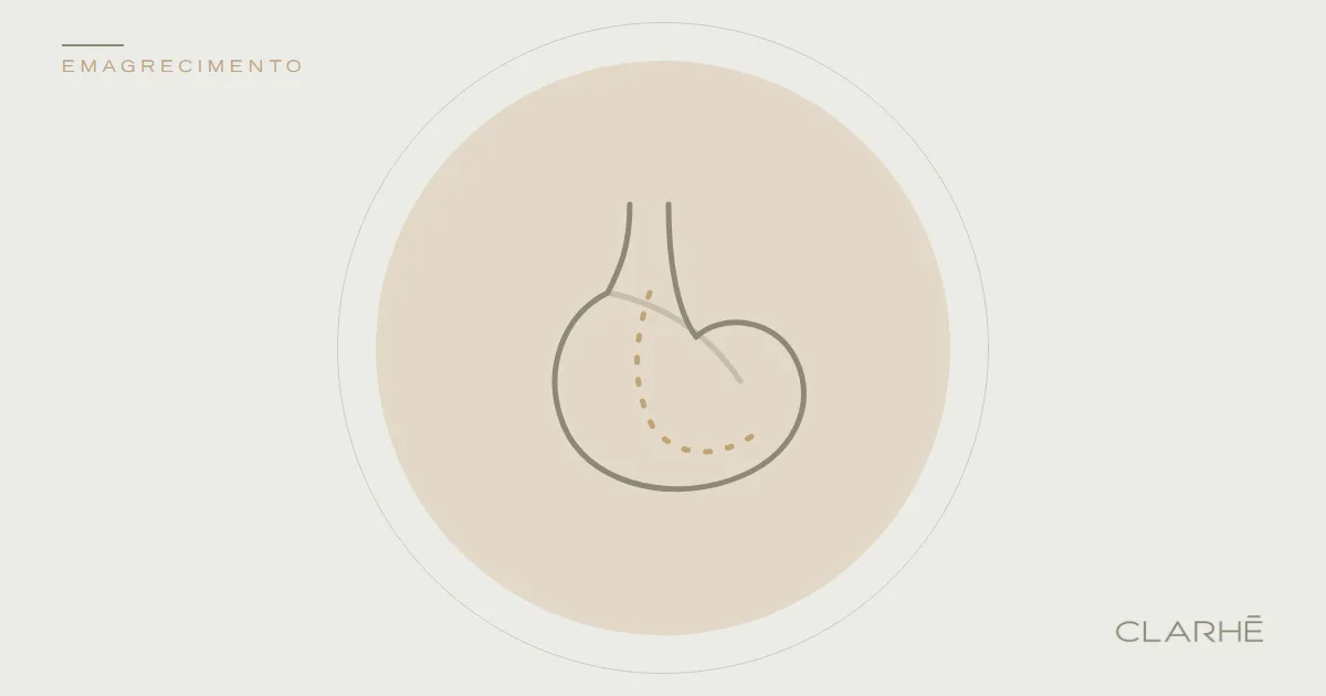 Ilustração do tema do post, na identidade visual da CLARHĒ